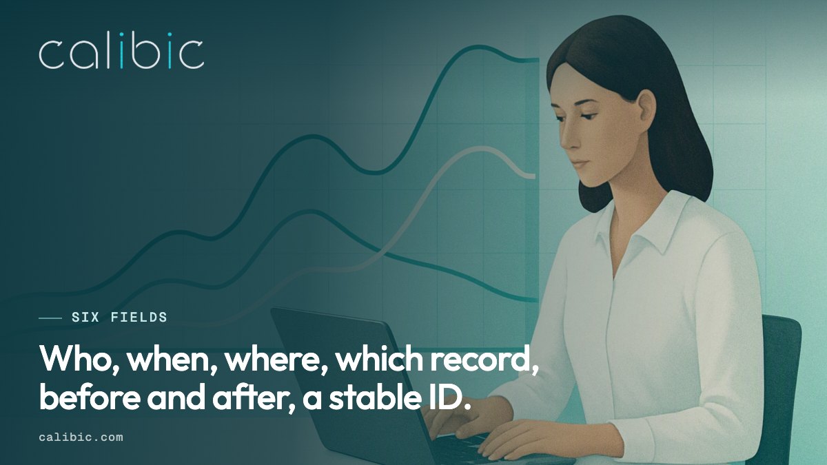 The six fields an audit trail should record on every row